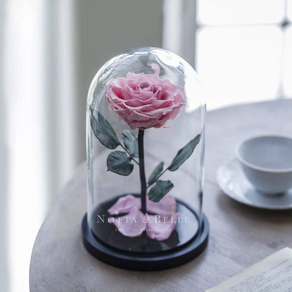 Over 50 different options of rose in glass dome Free UK delivery