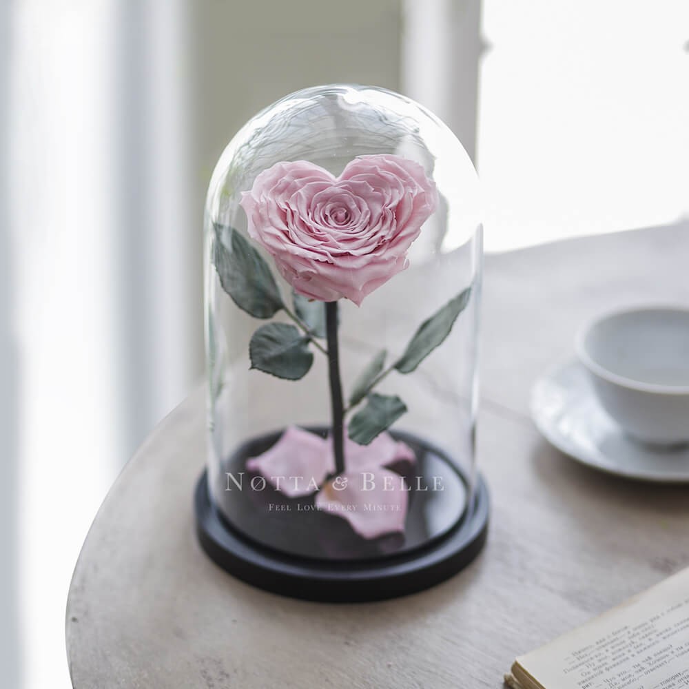 Нежно-Розовая роза Premium в форме сердца