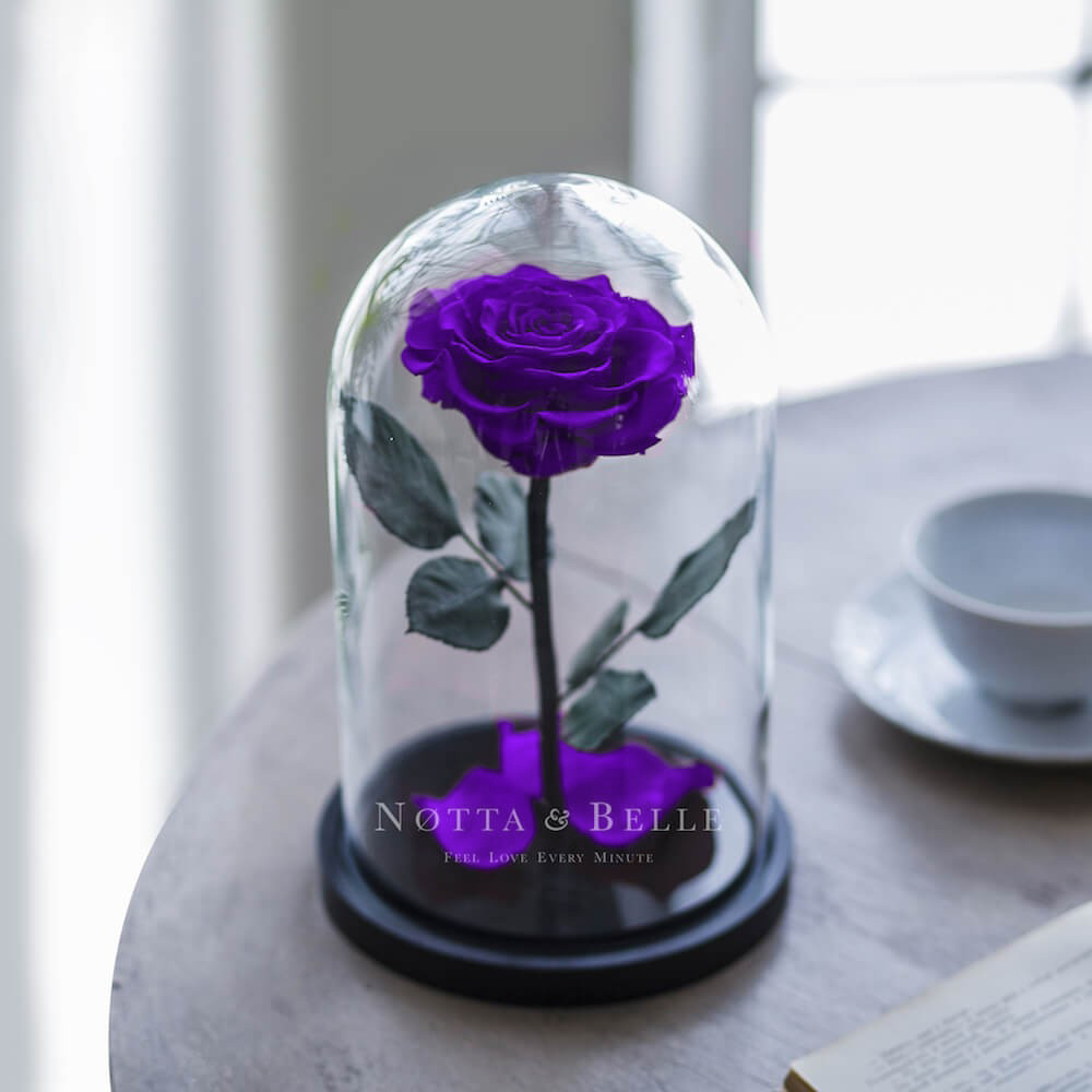 Фиолетовая роза в колбе Premium