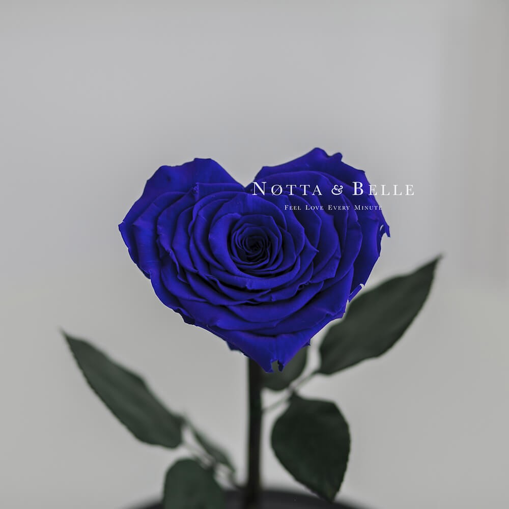 Синяя роза Premium в форме сердца