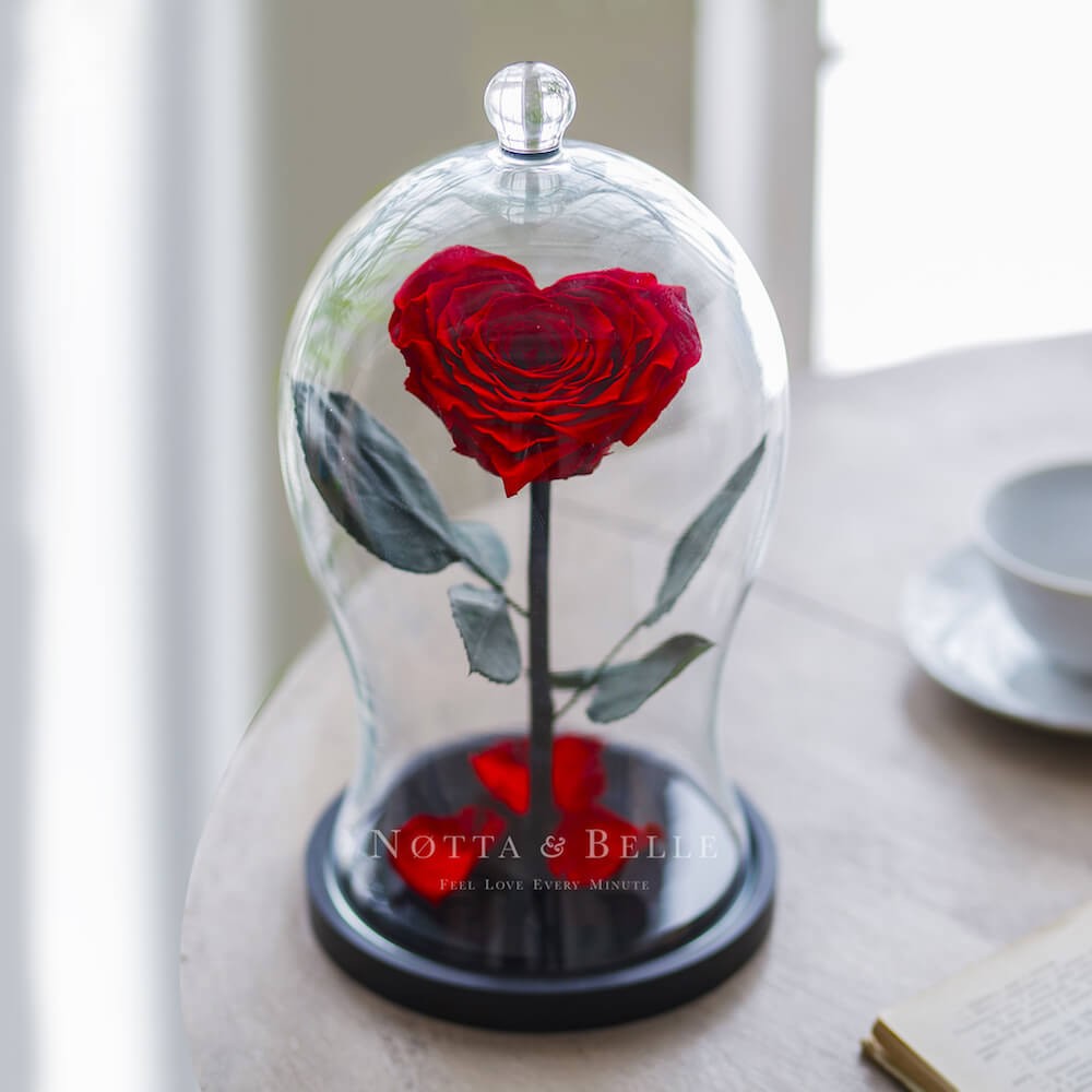 Красная роза Premium X в форме сердца