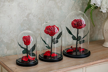 Notta & Belle: Rose in a jar - forever bloom with style
