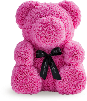 teddy bear rose wholesale