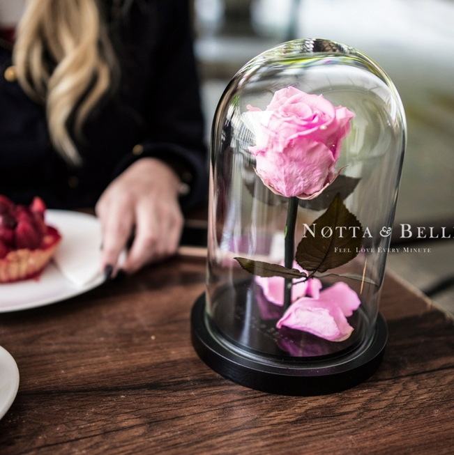 Rosa de La Bella y La Bestia – Notta & Belle