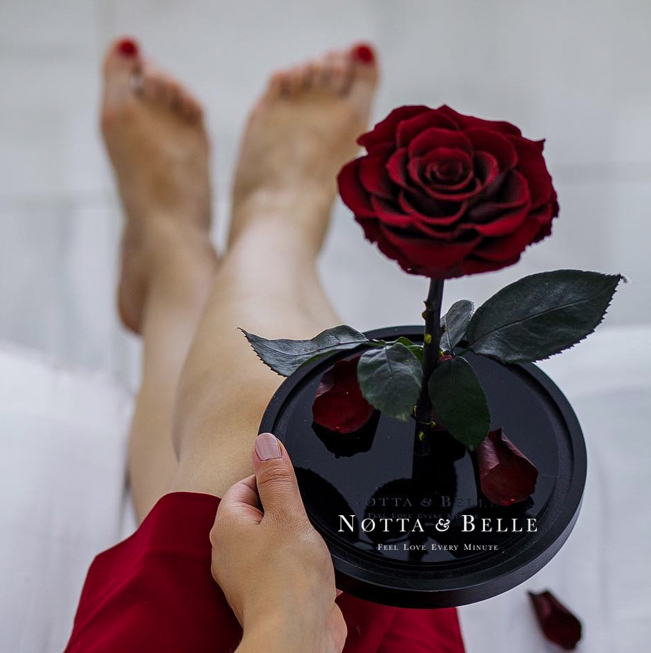Notta & Belle : Rose Immortelle - Un cadeau insolite dont vous vous  souviendrez longtemps.