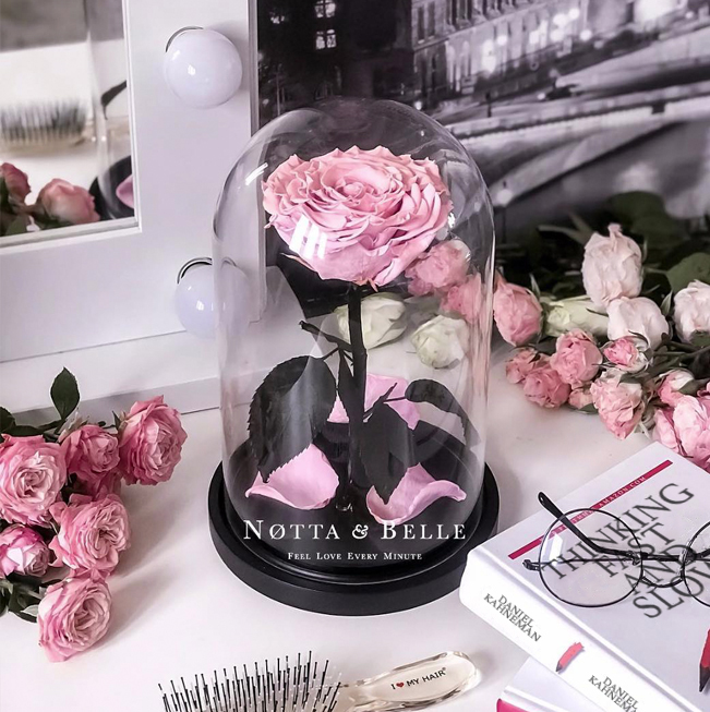 Roses in a Glass Case – The Rose Maven