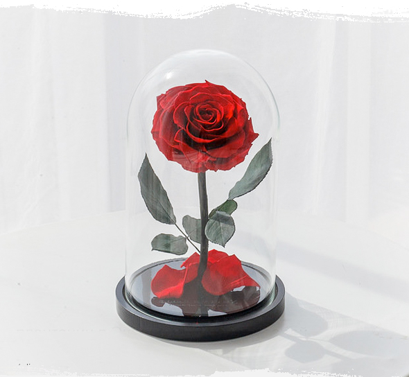 Rosas en cúpula de cristal al por mayor del fabricante Notta & Belle